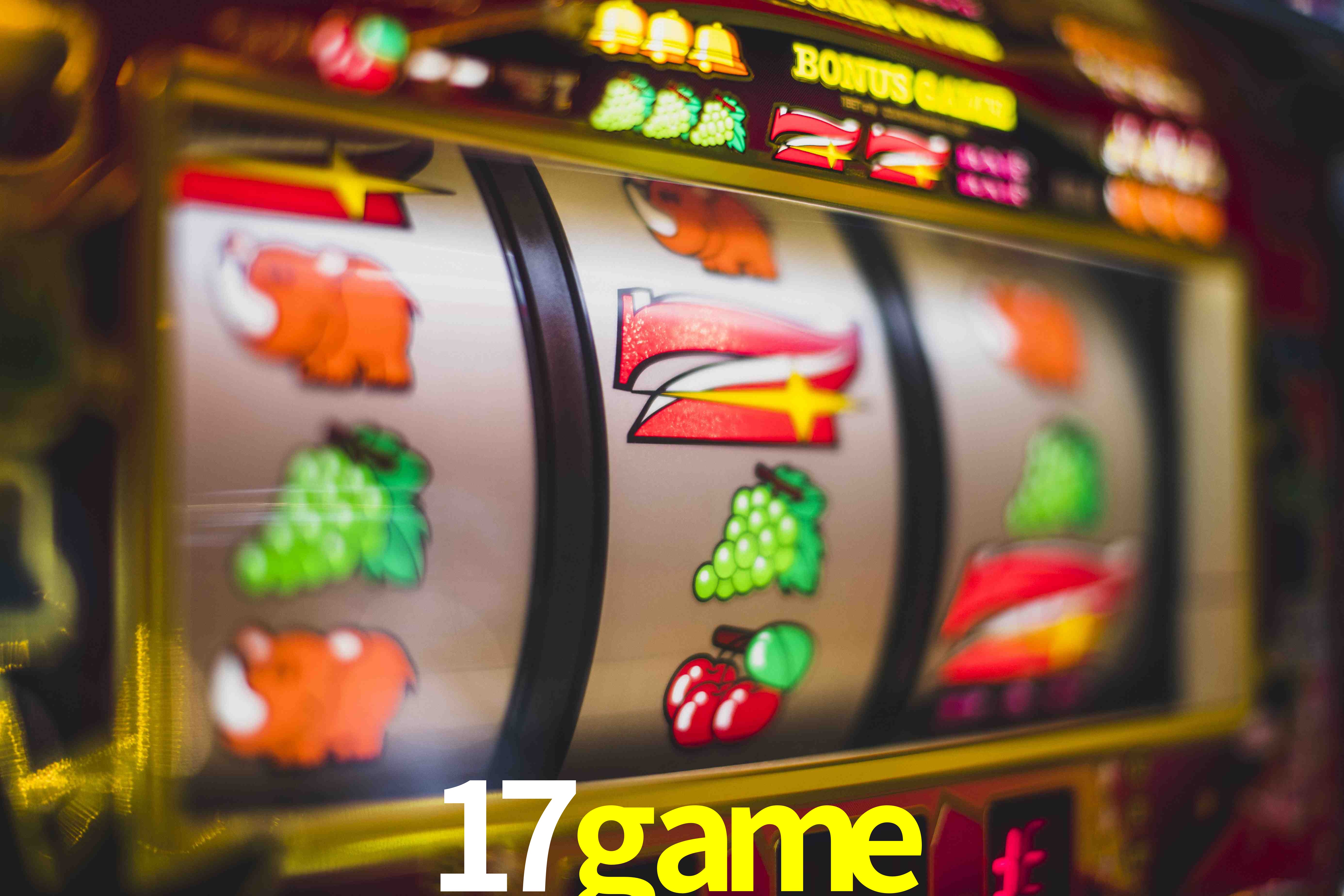 VIP Casino 17game